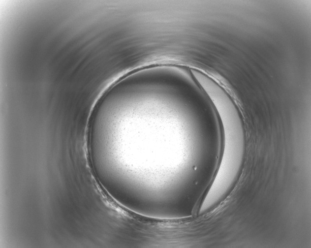 X0000054460904200508051948