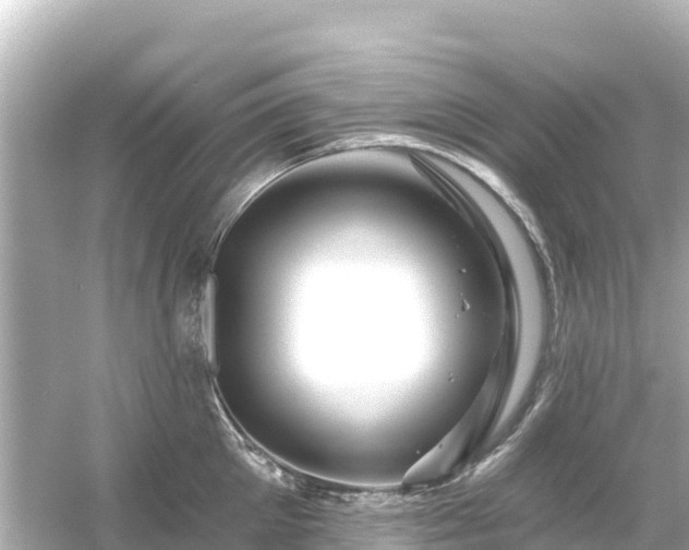 X0000054460905200508051947