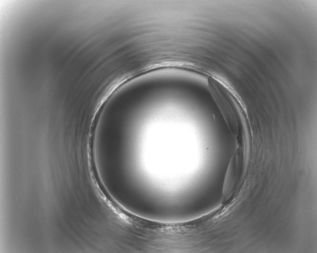 X0000054460906200508051947