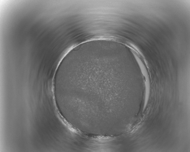 X0000054460907200508051947