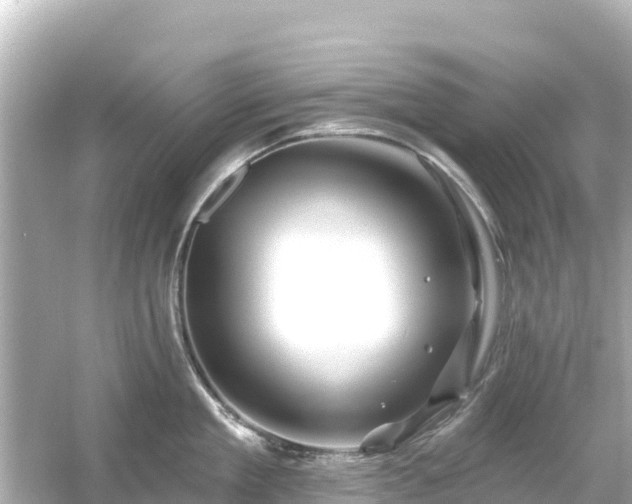 X0000054460909200508051947