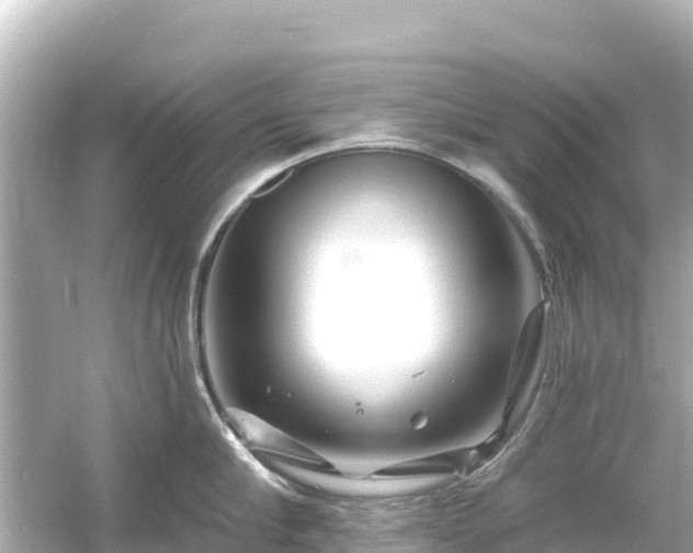 X0000054460910200508051947