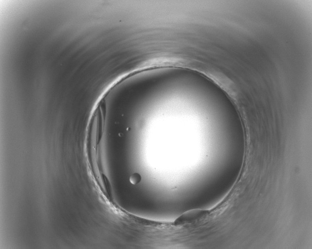 X0000054460912200508051947