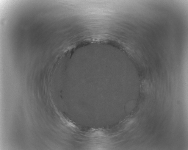 X0000054460913200508051947