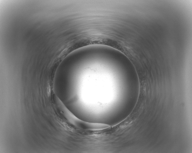 X0000054460916200508051947