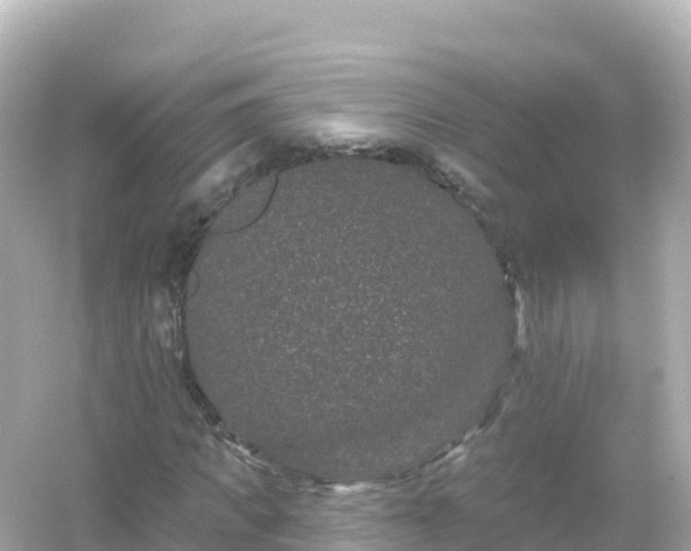 X0000054460917200508051947