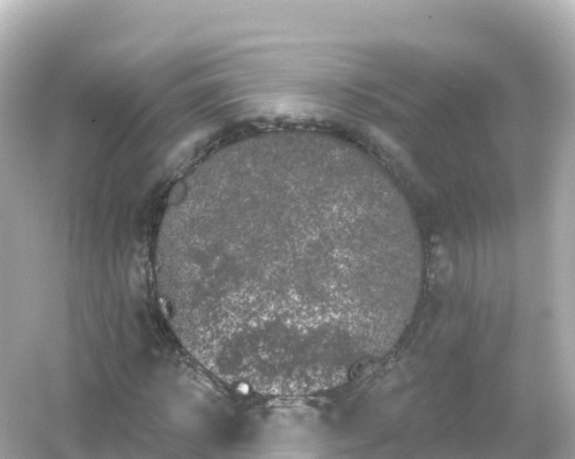 X0000054460918200508051947