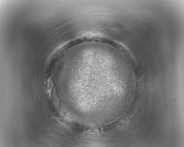 X0000054460919200508051947