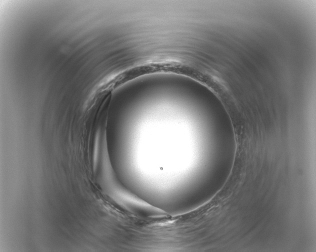 X0000054460920200508051947