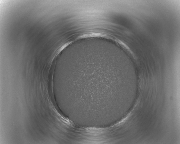 X0000054460921200508051947