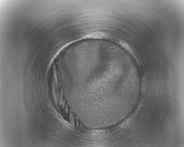 X0000054460923200508051947