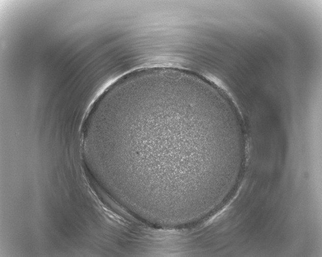 X0000054460925200508051947