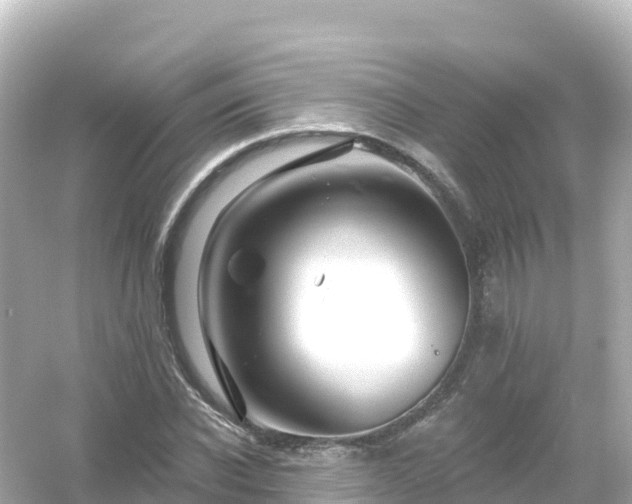 X0000054460926200508051947