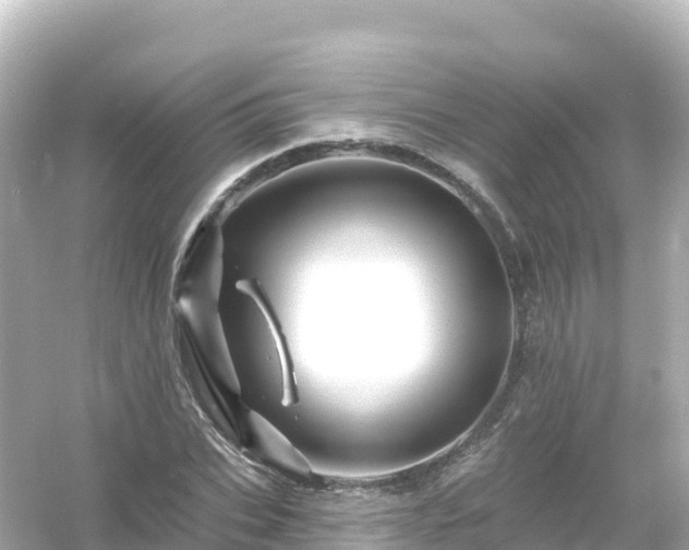 X0000054460927200508051947