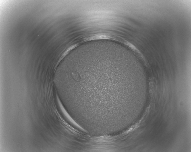 X0000054460929200508051947