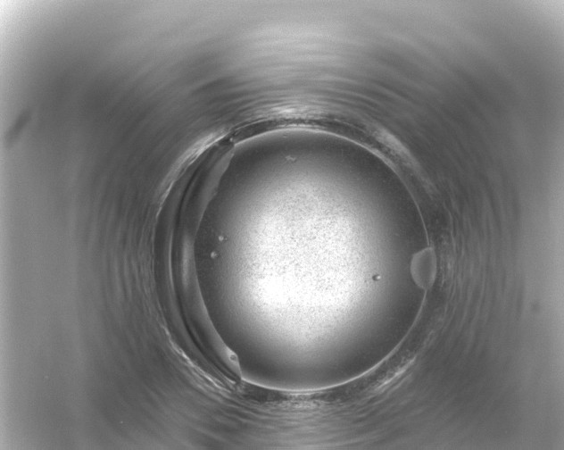 X0000054460930200508051947