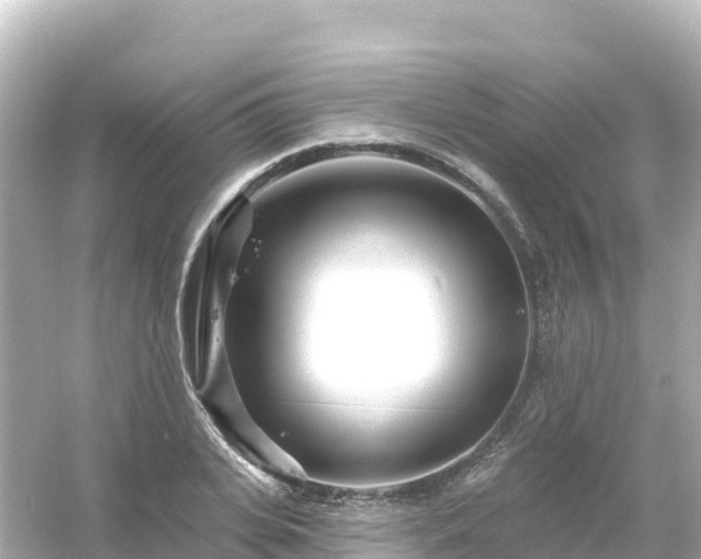 X0000054460935200508051947