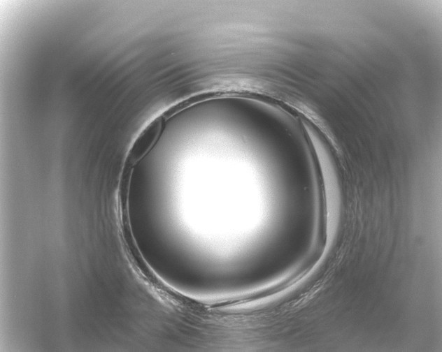 X0000054460936200508051947