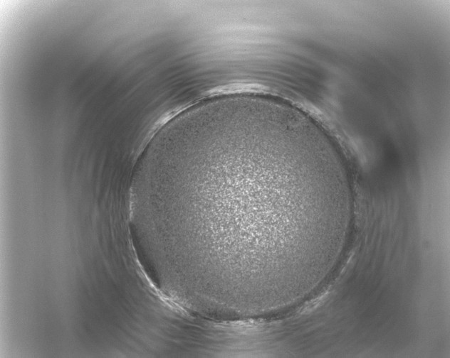 X0000054460937200508051947