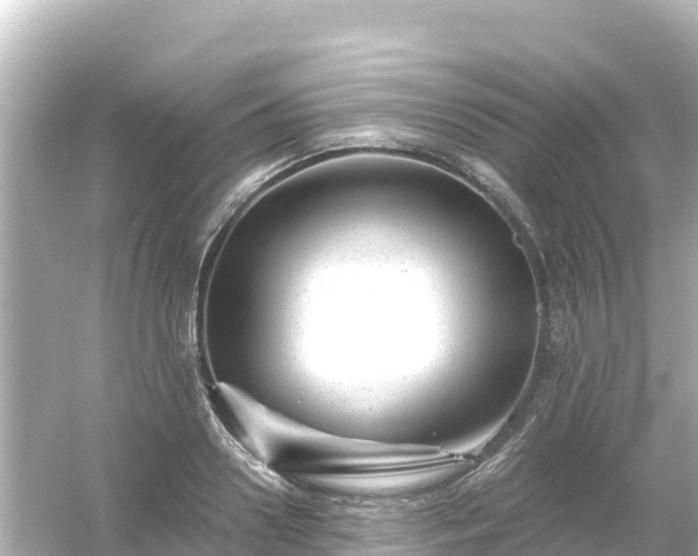 X0000054460938200508051947