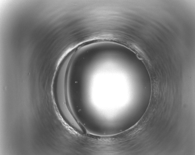 X0000054460944200508051947