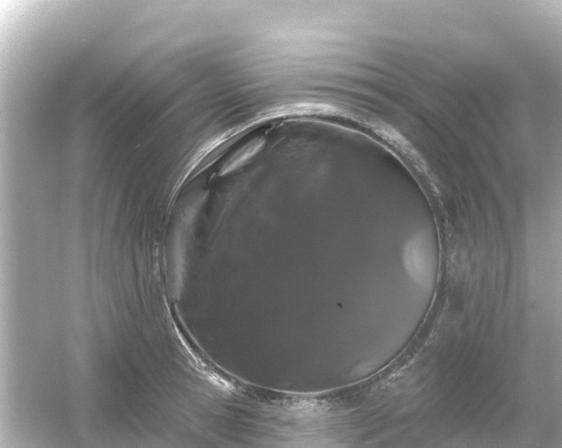 X0000054460945200508051947