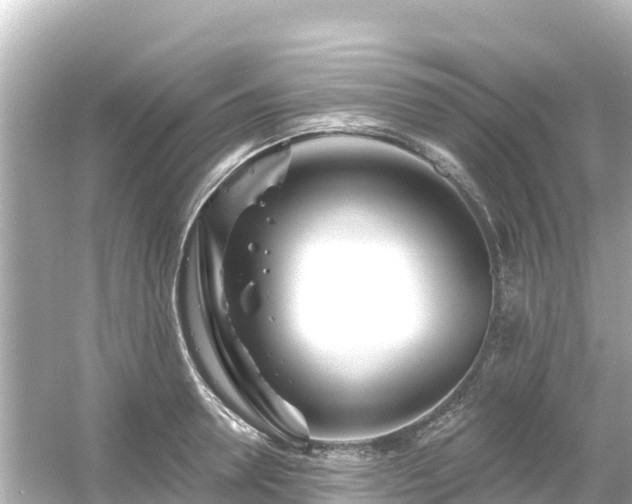 X0000054460946200508051947