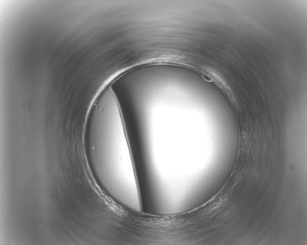 X0000054460948200508051947