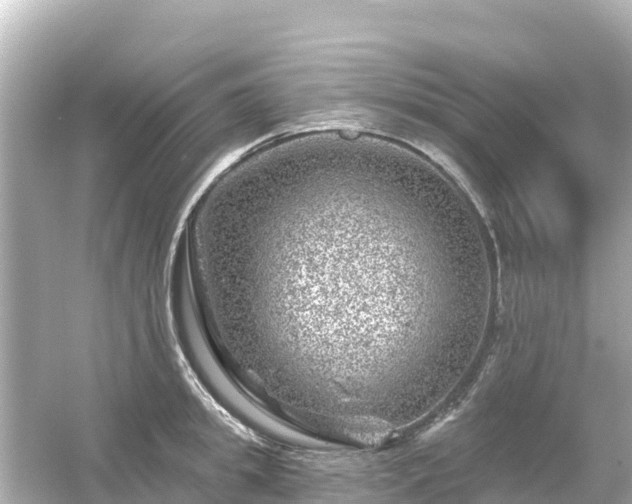 X0000054460949200508051947