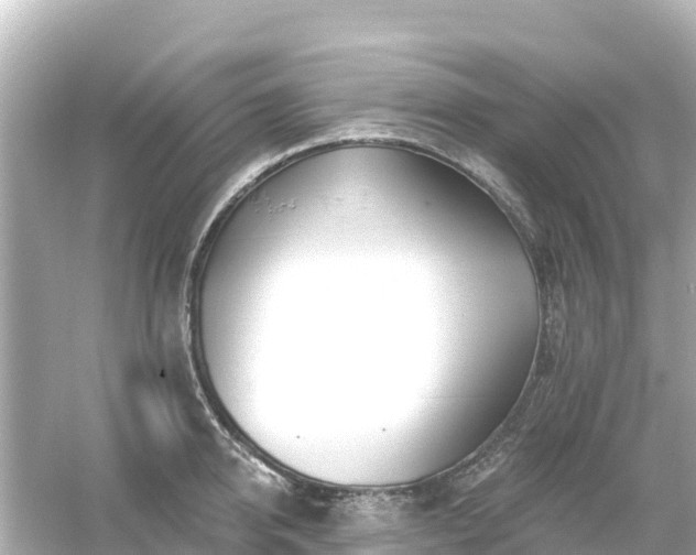 X0000054460950200508051947