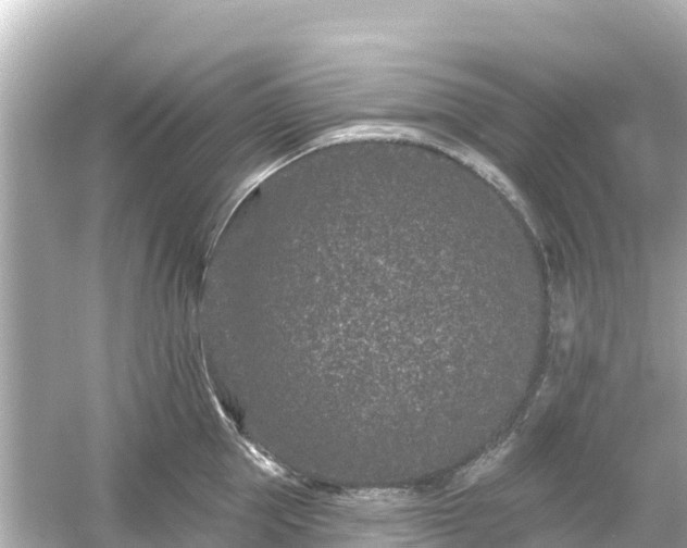 X0000054460953200508051947