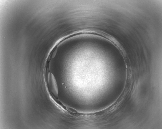 X0000054460958200508051947