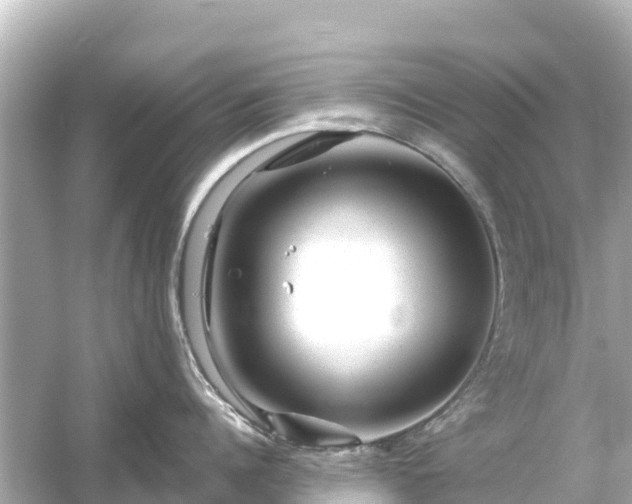 X0000054460960200508051947