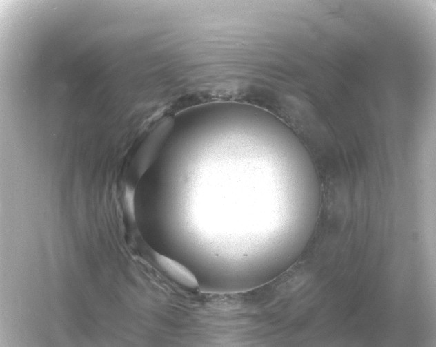 X0000054460962200508051947