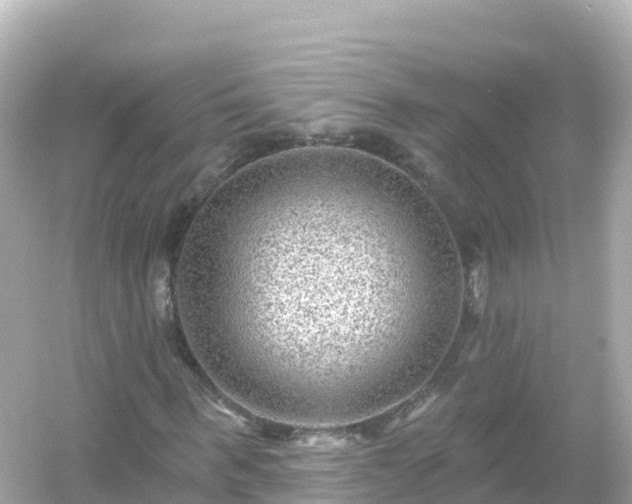 X0000054460963200508051947