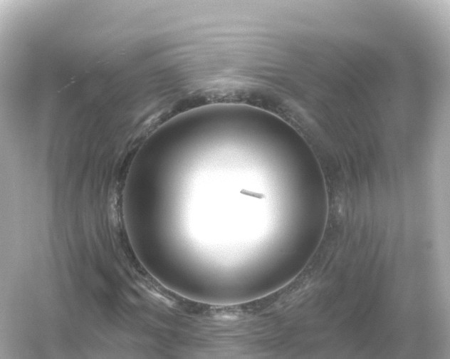 X0000054460964200508051946