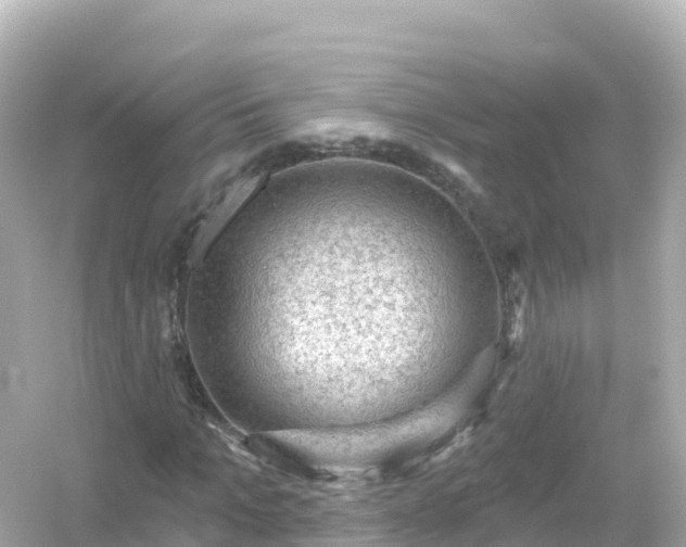 X0000054460965200508051946