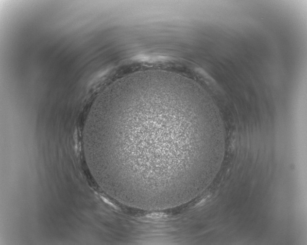 X0000054460966200508051946