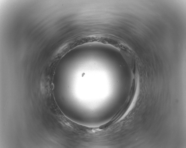 X0000054460968200508051946