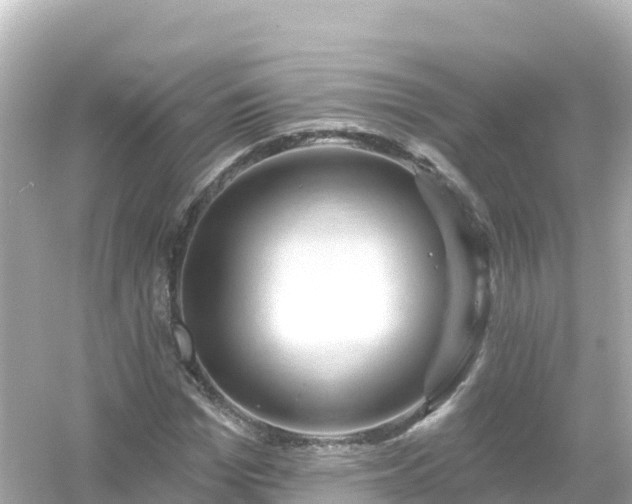 X0000054460969200508051946