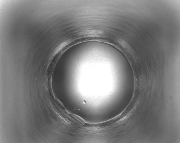 X0000054460970200508051946