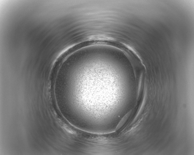 X0000054460971200508051946