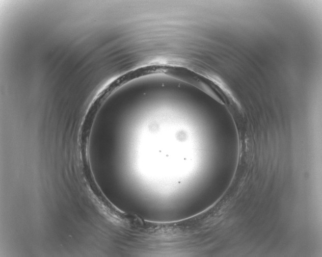 X0000054460972200508051946