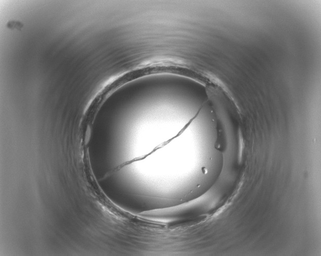 X0000054460973200508051946