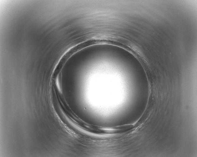 X0000054460976200508051946