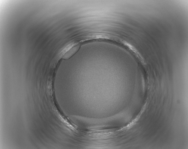 X0000054460977200508051946