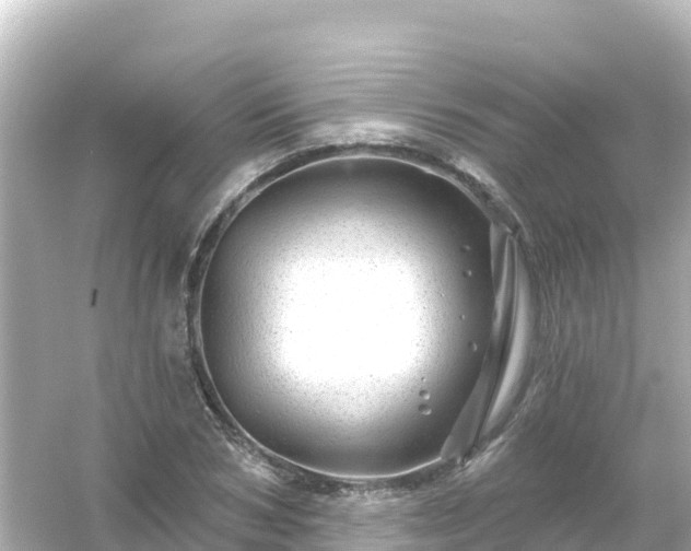 X0000054460978200508051946