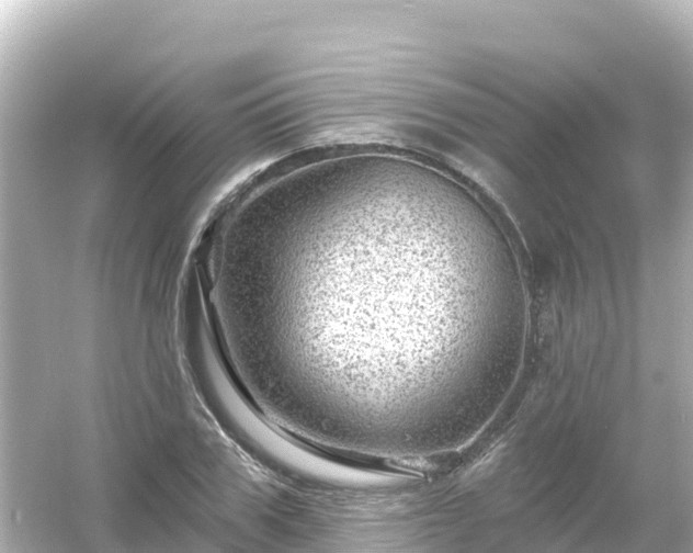 X0000054460979200508051946