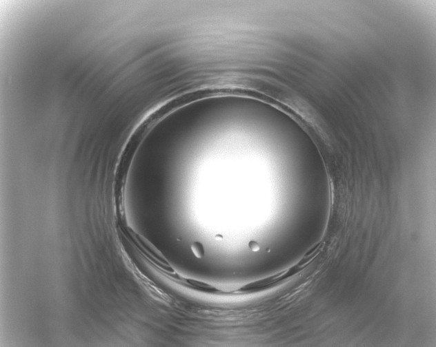 X0000054460980200508051946