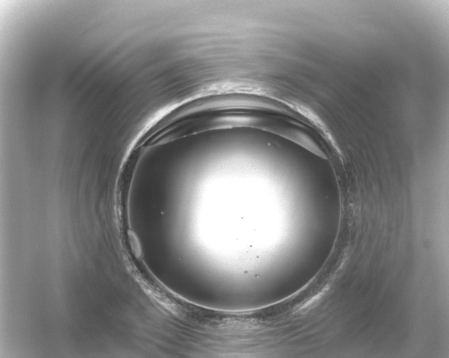 X0000054460981200508051946